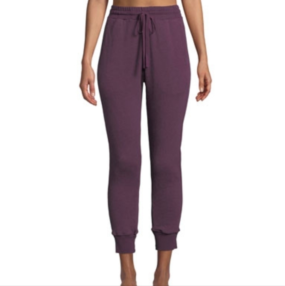 Xirena‎ Taylor Desert Trip Jogger Pants
